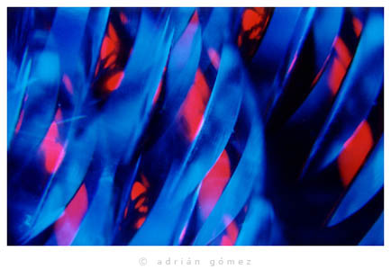 Fotodise�o (03), de Adri�n G�mez.
