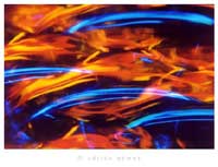 Fotodise�o (08), de Adri�n G�mez.