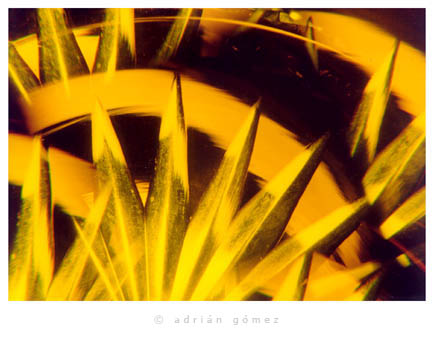 Fotodise�o (10), de Adri�n G�mez.