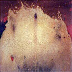 "Desnudo femenino". Vientre I, de Amaya Bozal. (&Oacute;leo, revoco de cal, perforaciones / lienzo, 114 x 114 cm. 2003)