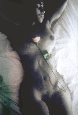 De: P&eacute;talos y Piel