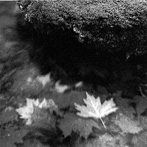 &Aacute;lbum de instantes