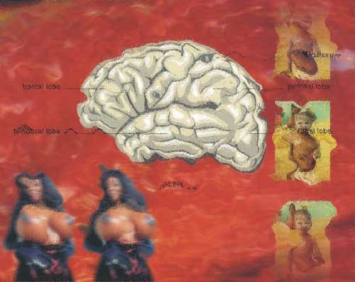 Juan Barbagelata: Cerebrum (Carne).