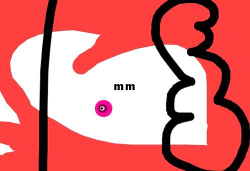 "Mirada,s" de Antoni Cortadella