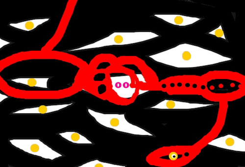 "Mirada,s" de Antoni Cortadella