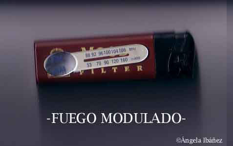 Fuego modulado, de &Aacute;ngela Ib&aacute;&ntilde;ez.