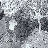 Variaciones sobre una fotograf&iacute;a de Francisco Javier Cubero