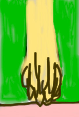 Cronos, de Antoni Cortadella.