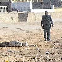 Detalle de una fotograf&iacute;a de Juan Carlos Toro.