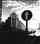 Alameda - Fotograf&iacute;a de Illya Alvarado.