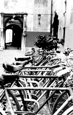 Bicicletas (realizada en Padova, Italia en 1999), de Illya Alvarado.
