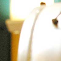 Detalle de una fotograf&iacute;a de F. J. Vargas