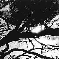 Detalle de una fotograf&iacute;a de Carmelo Raydan.