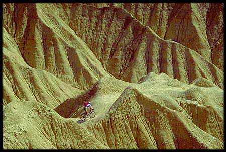 B&aacute;rdenas, fotograf&iacute;a de Koldo Badillo.