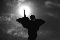 Los heraldos blancos, serie de fotograf&iacute;as de Carmelo Raydan.