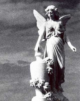 Mariposa, fotograf&iacute;a de Carmelo Raydan.