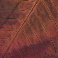 Composici&oacute;n de Eld&iacute;goras