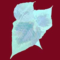 Composici&oacute;n de Eld&iacute;goras