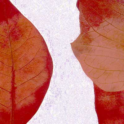 Hojas, composici&oacute;n digital de Eld&iacute;goras.