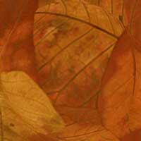 Composici&oacute;n de Eld&iacute;goras.