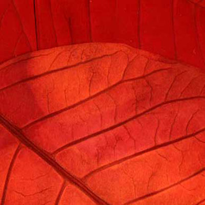 Hojas, composici&oacute;n digital de Eld&iacute;goras.