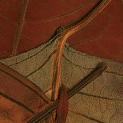 Hojas, composici&oacute;n digital de Eld&iacute;goras.