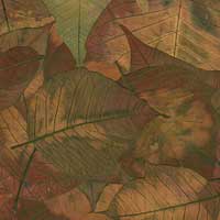 Composici&oacute;n de Eld&iacute;goras.