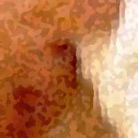 Facci&oacute;n de imperdido al arte.