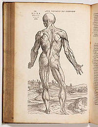 VESALIUS: Se trata de uno de los tratados de la Medicina más importantes, escrito por Basle, J. Oporinus 1555. Segunda Edición.