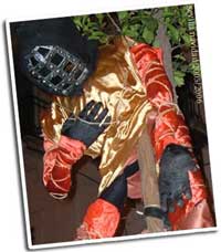 The Barcelona Review 56