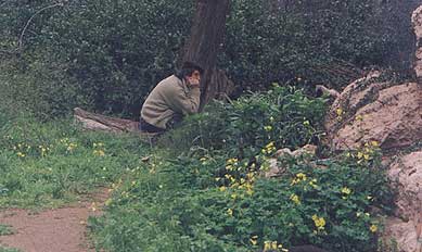 Emilio Paolo Taormina