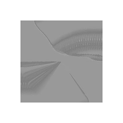 Ilustración de Eldígoras