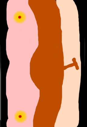 Toni Cortadella - (7) Fragilitats.