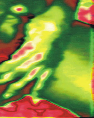 Chipote de princesa, obra digital de Juan Barbagelata