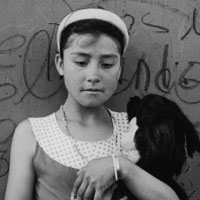 Detalle de una fotograf&iacute;a de Roberto Guidotti.