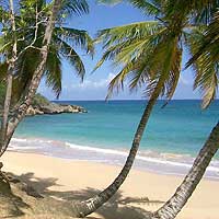 Playa de la Rep&uacute;blica Dominicana