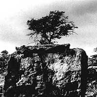 Detalle de una fotograf&iacute;a de Carmelo Raydan.