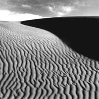 Detalle de una fotograf&iacute;a de Carmelo Raydan.