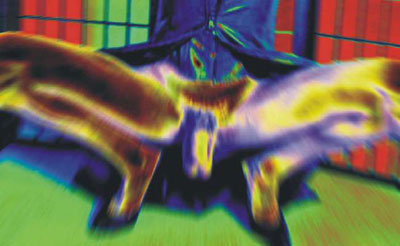 Matrix, obra digital de Juan Barbagelata