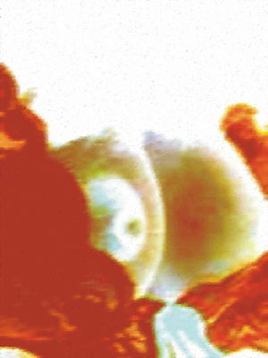 Pechito argentino, obra digital de Juan Barbagelata